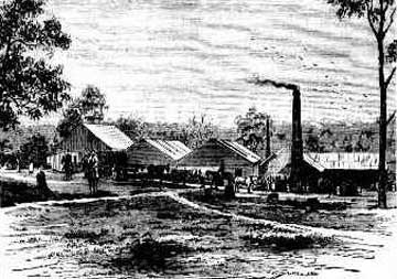 Crown meat-preserving works, Maitland. Image: Australian Town and Country Journal, (Sydney, NSW), Sat 1 Nov 1879, p. 48. Reproduction: Peter de Waal