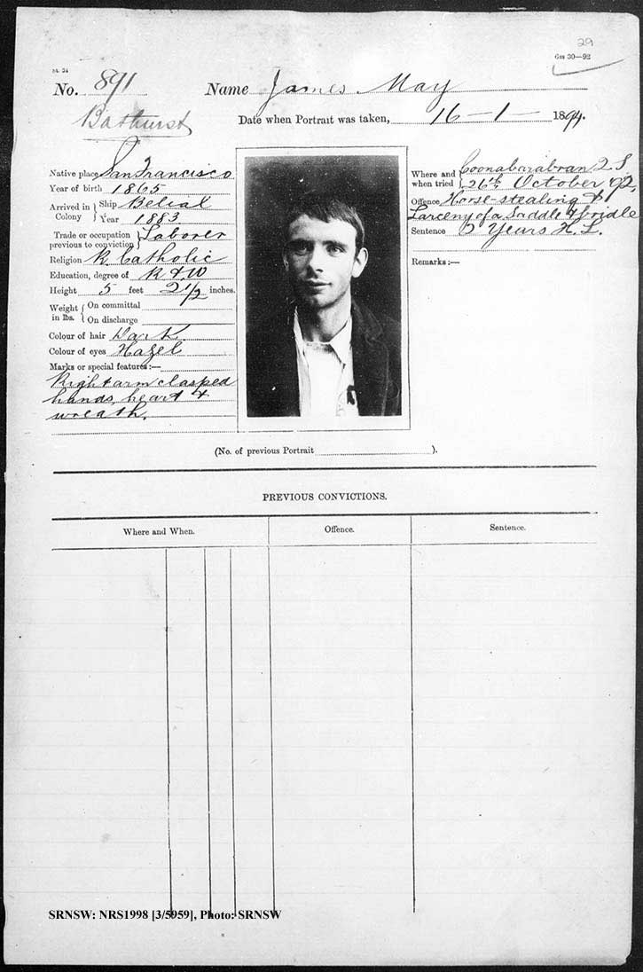 SRNSW: NRS1998, [3/5956], Bathurst Gaol photographic description book, 17 Nov 1880-2 Jul 1883, No. 291, p. 5, R5084.