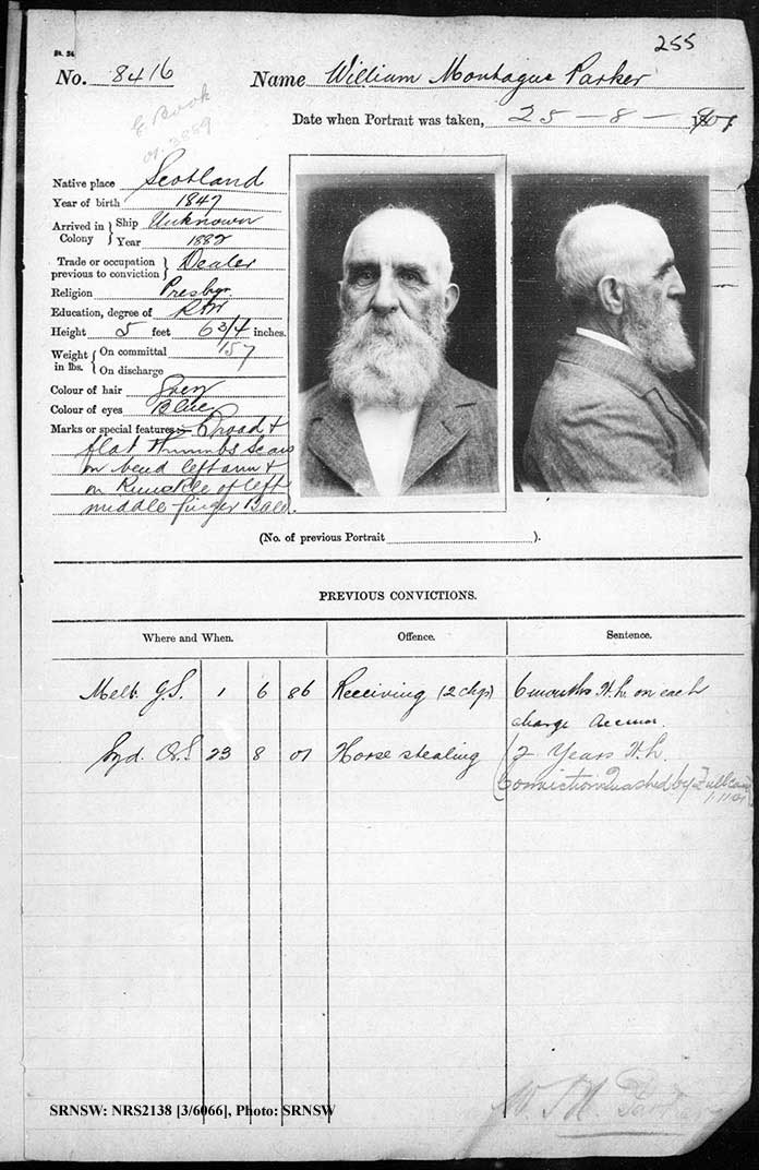 SRNSW: NRS2138, [3/6066], Darlinghurst Gaol photographic description book, 1900-1901, No. 8416, p. 255, R5109.