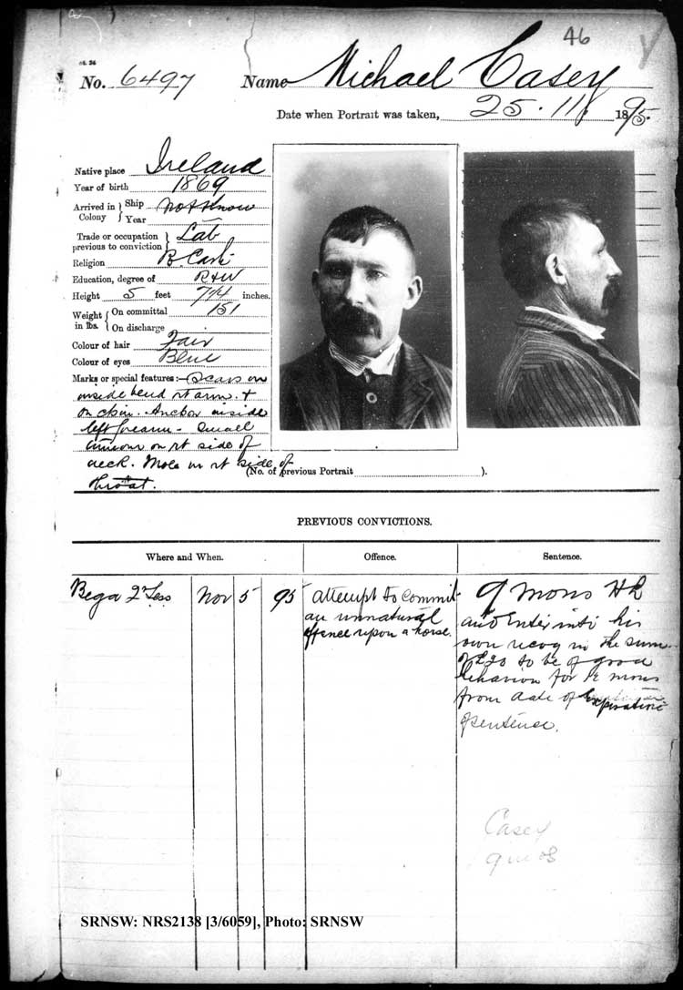 SRNSW: NRS2138, [3/6059], Darlinghurst Gaol photographic description book, 1895-1896, No. 6497, p. 46, R5106.