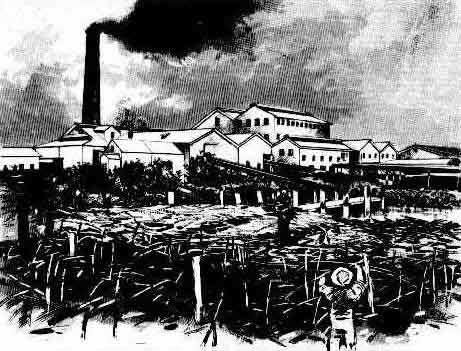Harwood sugar mill, loaded cane punts in fore-ground, Clarence river. Image: Australian Town and Country Journal, Sat 16 Oct 1897, p. 31. Reproduction: Peter de Waal Harwood sugar mill, loaded cane punts in fore-ground, Clarence river. Image: Australian Town and Country Journal, Sat 16 Oct 1897, p. 31. Reproduction: Peter de Waal