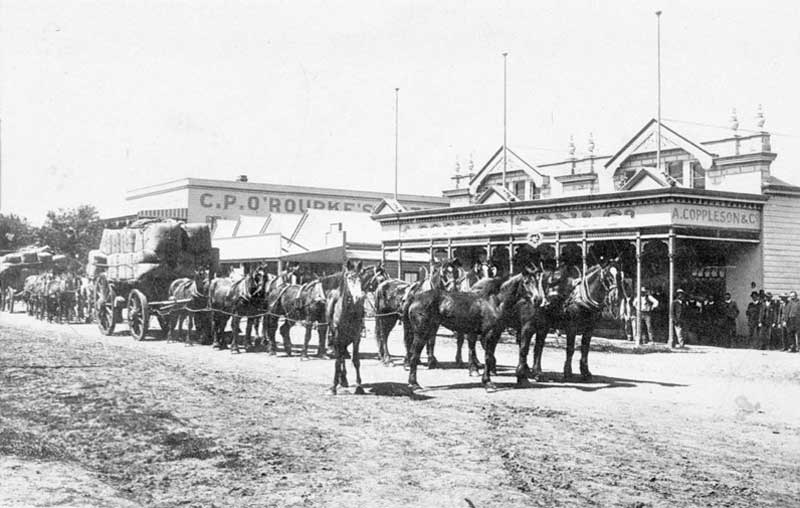 “Carting the Staple Product” (wool) – Wee Waa, NSW, c. 1910. Image: NSW State Library collection. Reproduction: Peter de Waal