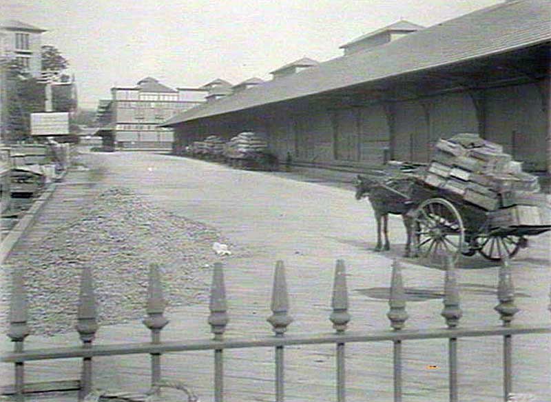 Woolloomooloo wharf, horses and drays, n.d. Image: NSW State Library collection. Reproduction: Peter de Waal