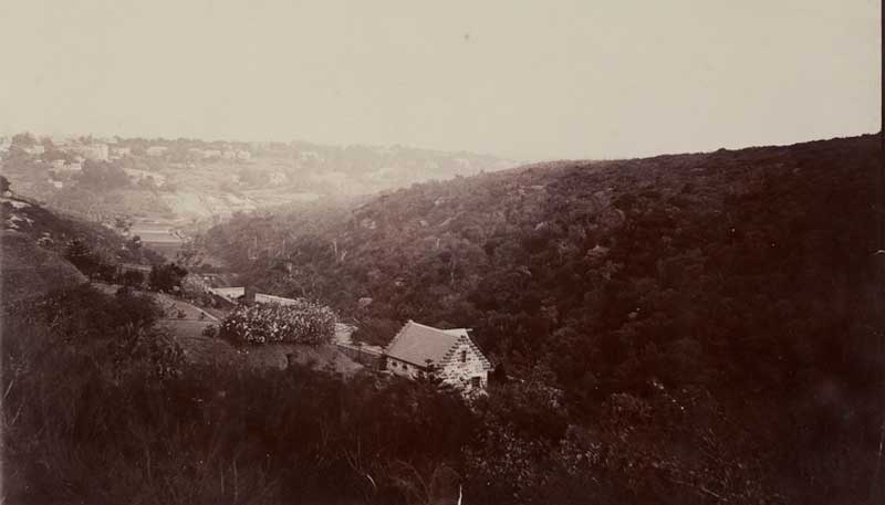 Bellevue Hill, looking west towards south Double Bay-Woollahra, 1897. Image: NSW State Library collection. Reproduction: Peter de Waal Bellevue Hill, looking west towards south Double Bay-Woollahra, 1897. Image: NSW State Library collection. Reproduction: Peter de Waal
