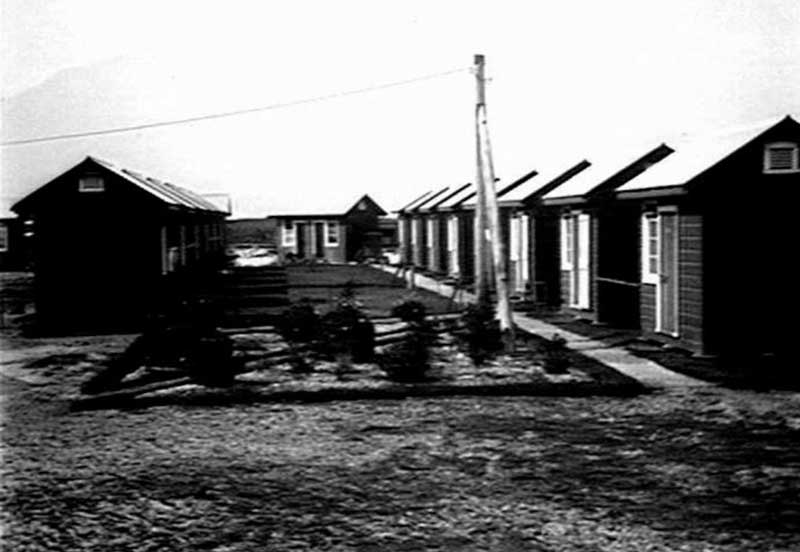 Prison huts at Tuncurry Afforestation Prison Camp, n.d. Image: NSW State Library collection. Reproduction: Peter de Waal