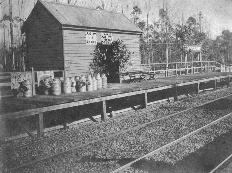 Toongabbie railway station, c. 1920. Image: NSW State Library collection. Reproduction: Peter de Waal